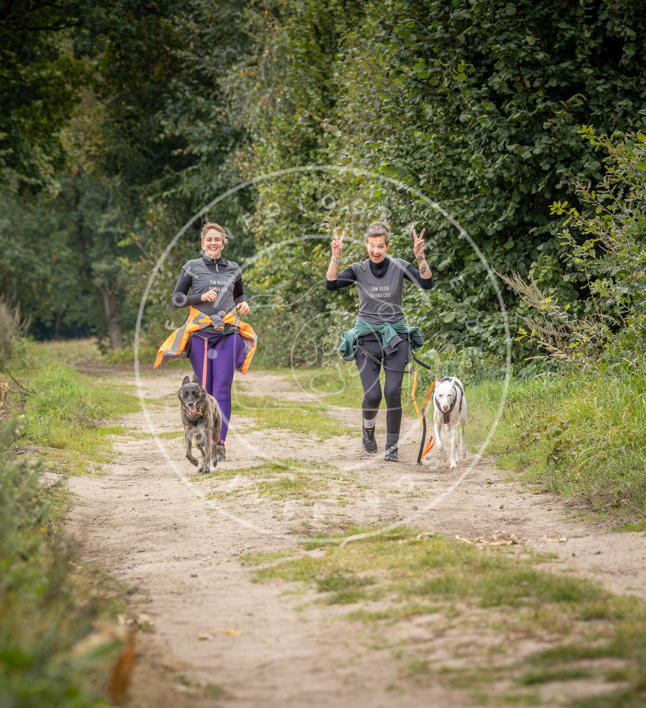 Pfotenfotografie_DV3A6670 | Hundefotografie, Tierfotograf, Pfotenfotografie, Fotoshooting Hund, Hunde Portrait, Hundesport, Hundeportraits, Heideshooting, Hunde, Sportfotograf, Hundefotograf, Turnierhundsport, THS,  - Realisiert mit Pictrs.com
