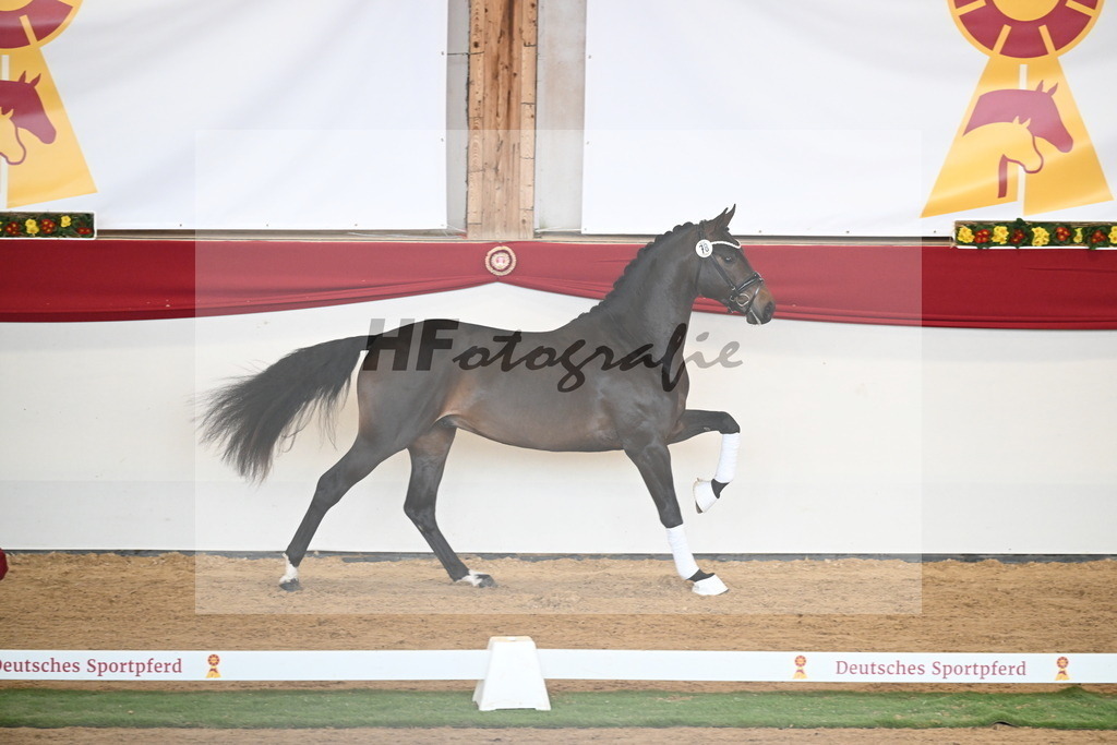 Kat.-Nr. 78 v. Springbank II VH_Reichert_2250747 | hf-fotografie - Realisiert mit Pictrs.com