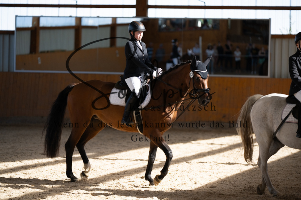 A7V02106 | Pferdefotograf