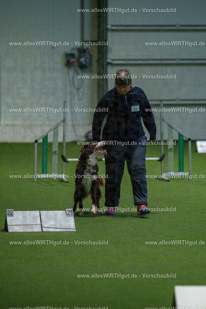 7R505017 | Professionelle Tierfotografie in Mönchengladbach von Daniel Wirth (allesWIRTHgut). Liebevolle & natürliche Bilder von Hunden & Katzen für unvergessliche Erinnerungen.