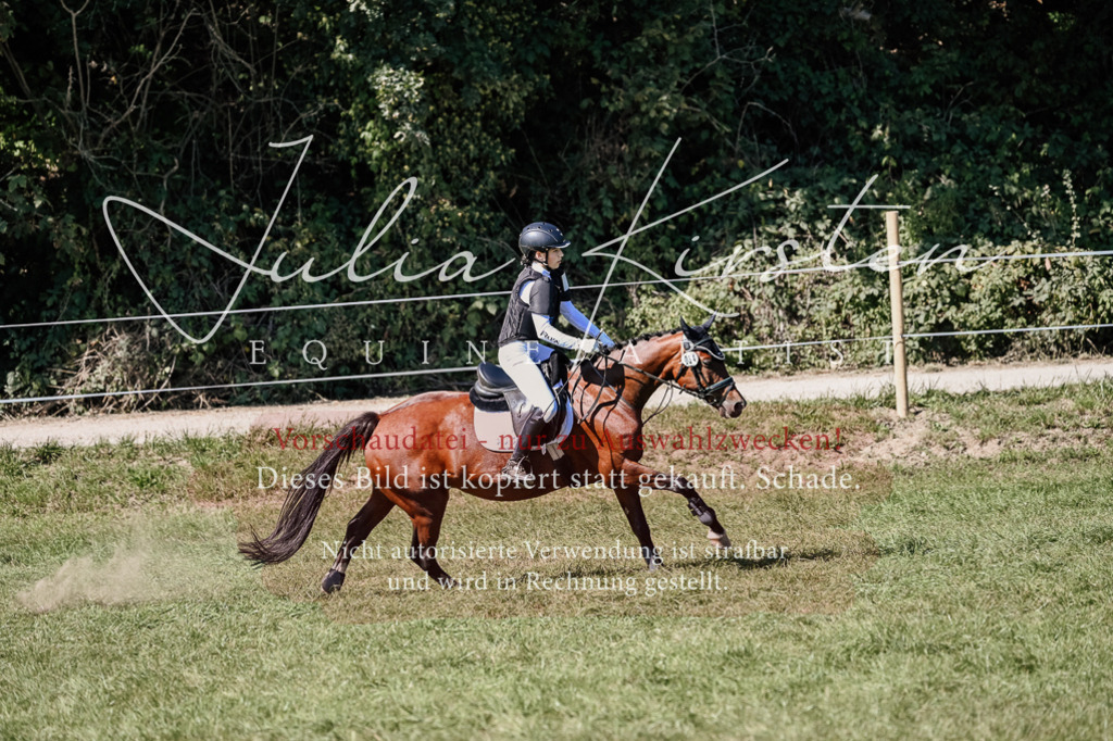 DSC_2821 | Pferde- und Turnierfotografie in Westsachsen. Pferdeportraits, Auftragszeichnungen und intuitive Kunst.