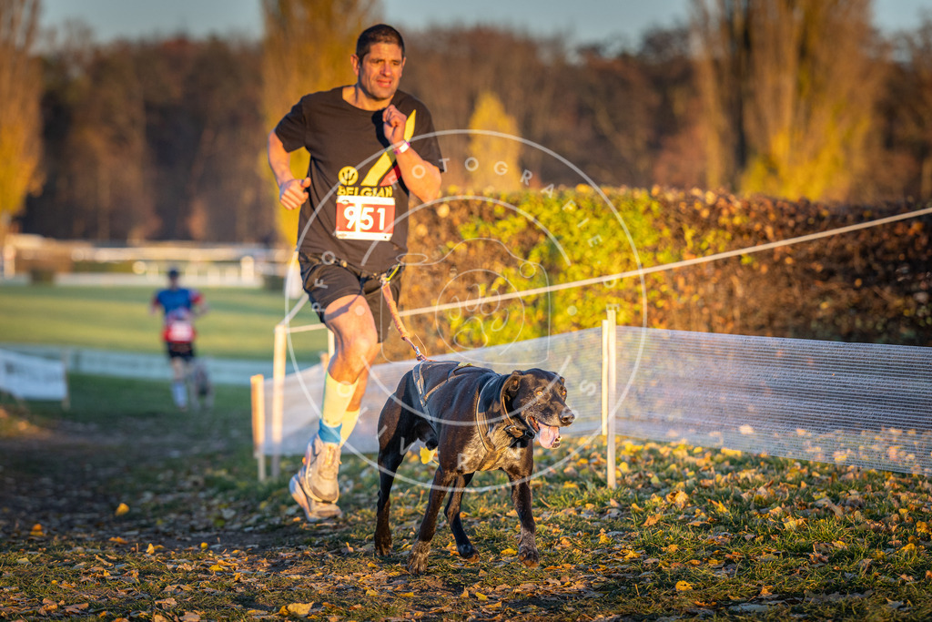 CaniXpix_DV3A5650 | Hundefotografie, Tierfotograf, Pfotenfotografie, Fotoshooting Hund, Hunde Portrait, Hundesport, Hundeportraits, Heideshooting, Hunde, Sportfotograf, Hundefotograf, Turnierhundsport, THS,  - Realisiert mit Pictrs.com