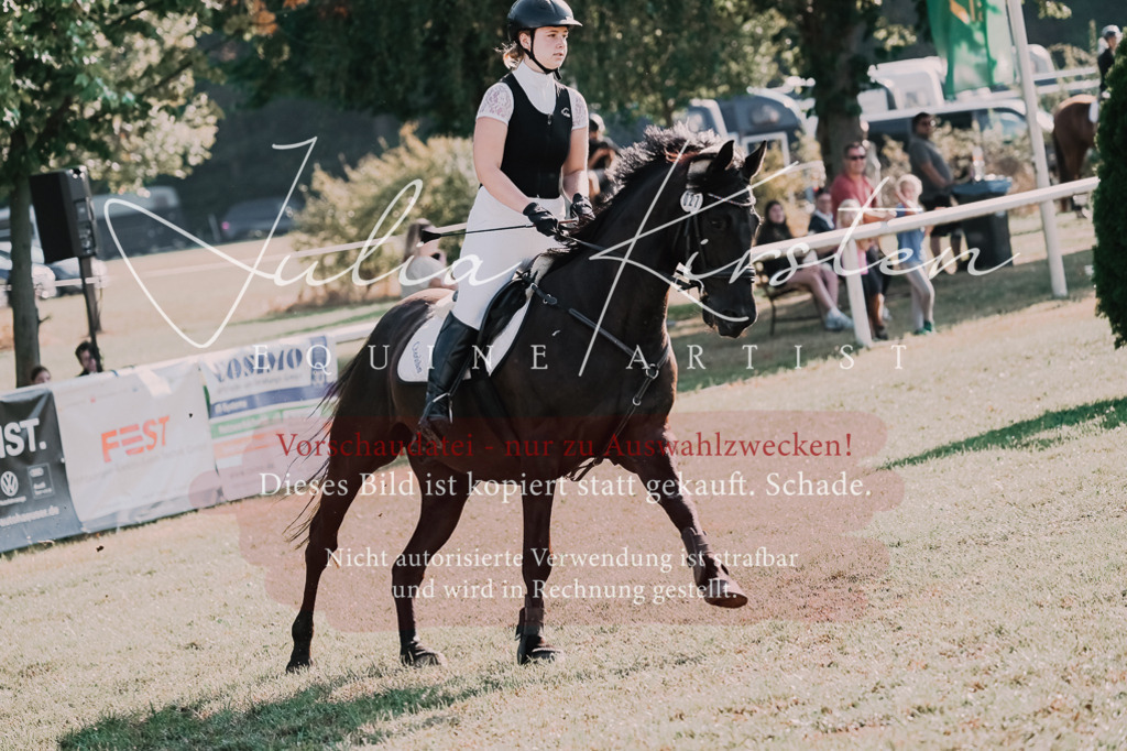 DSC_4516 | Pferde- und Turnierfotografie in Westsachsen. Pferdeportraits, Auftragszeichnungen und intuitive Kunst.