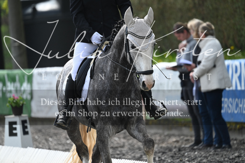 20230512_JK-Röhrsdorf-01-052 | Pferde- und Turnierfotografie in Westsachsen. Pferdeportraits, Auftragszeichnungen und intuitive Kunst.