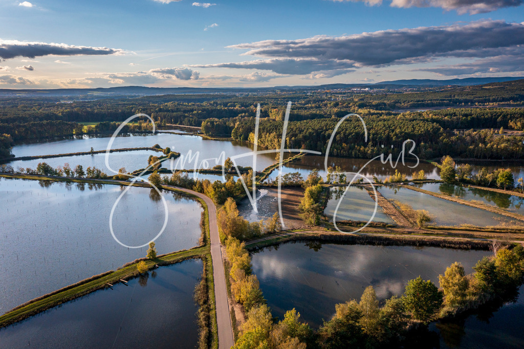 Charlottenhofer Weihergebiet | simonsuess - Realisiert mit Pictrs.com