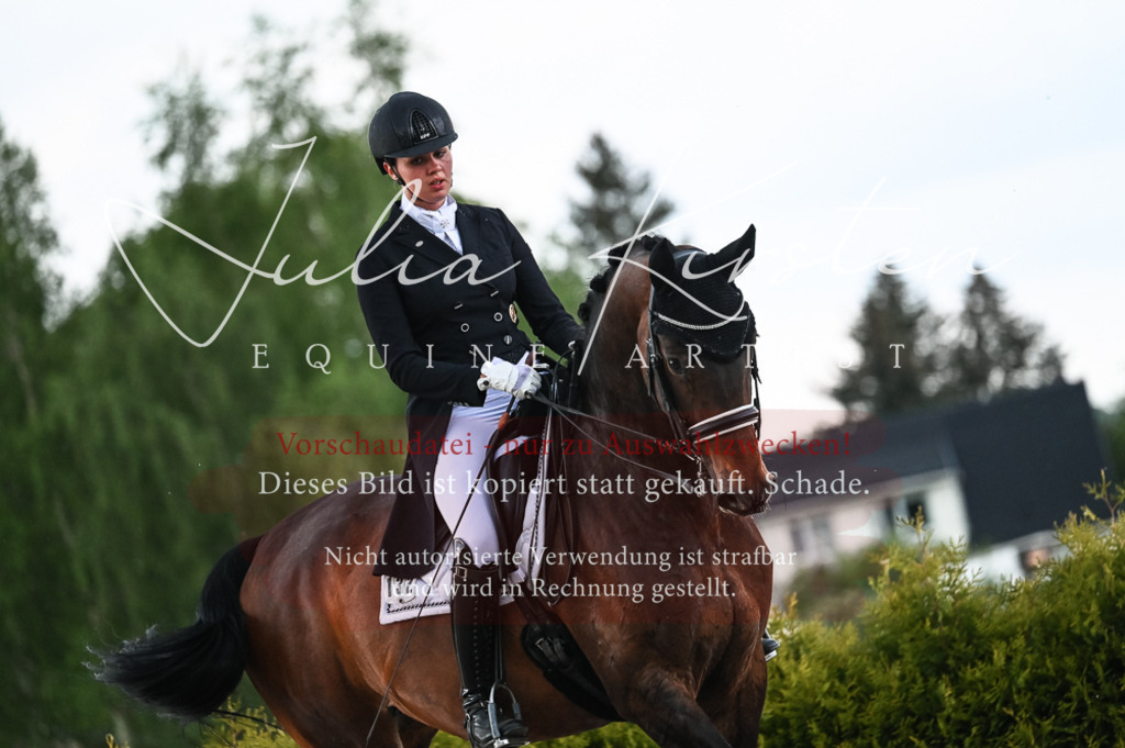 20230514_JK-Röhrsdorf-21-511 | Pferde- und Turnierfotografie in Westsachsen. Pferdeportraits, Auftragszeichnungen und intuitive Kunst.