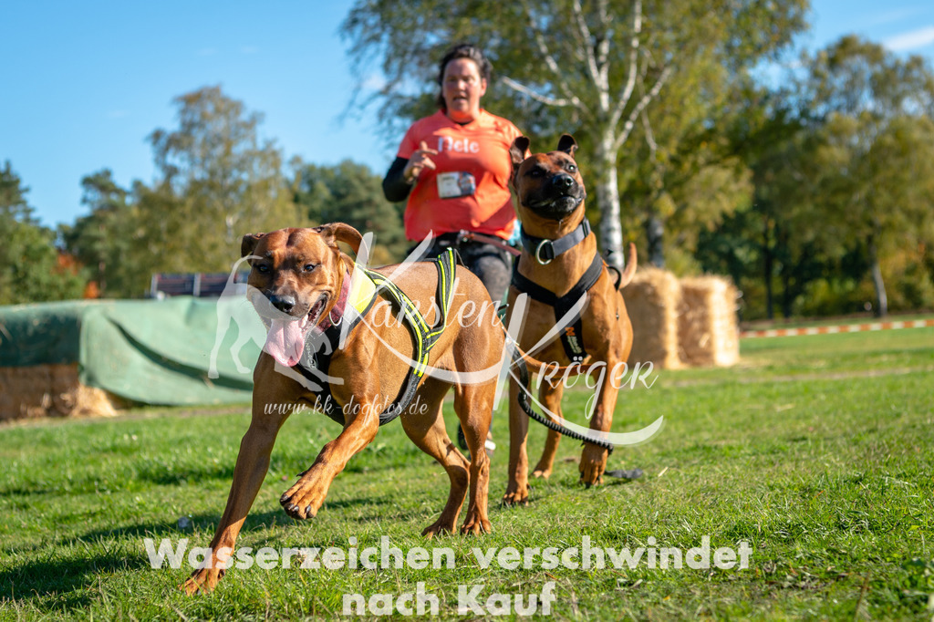 1144STR_2474 | kk-dogfotos