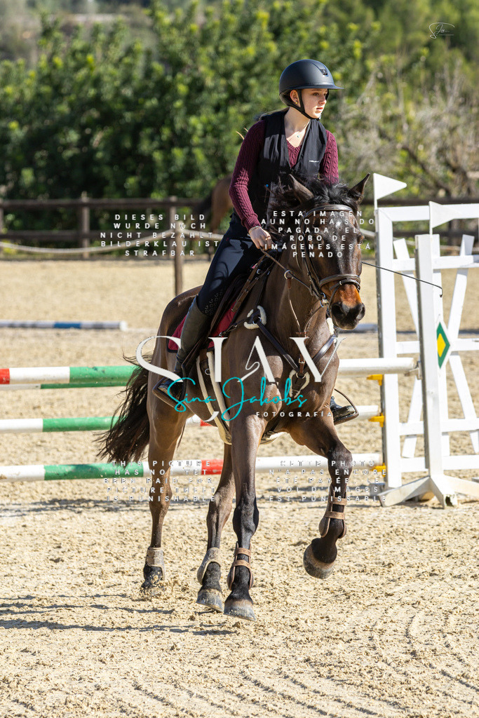 IMG_3907 | s-jay-photography - Realisiert mit Pictrs.com