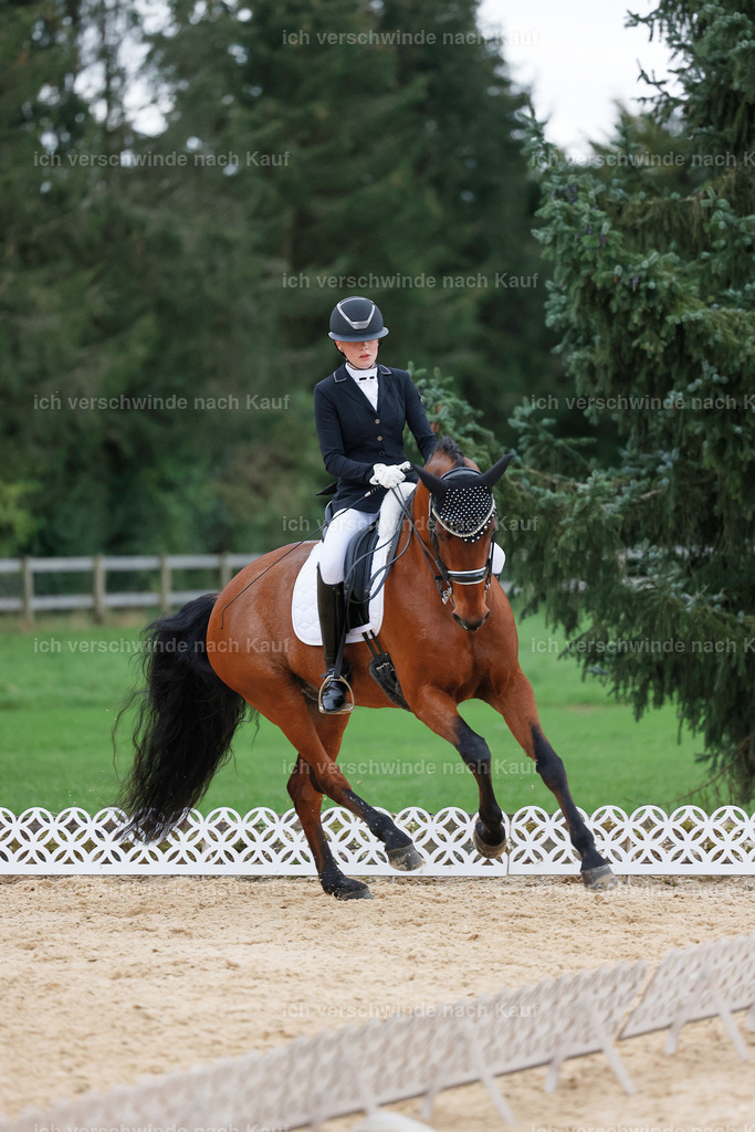 04_2-006-Dressur M__ -StoibPH-2982 | working equitationturnier fotograf videograf stoibphotography marixx film working equitation deutschland reitsport turnierfotografie eventfotografie equestrian events