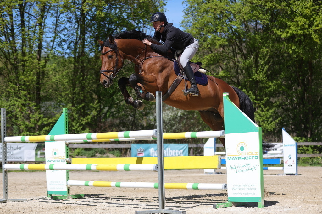 0P6A8156 | Willkommen bei Brunnmayr - Design & Fotografie – Ihrem Spezialisten für Reitturniere und Pferdeveranstaltungen in Oberösterreich, Salzburg und Bayern! Seit über 17 Jahren sind wir leidenschaftlich dabei.