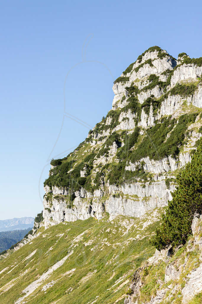 Rauher Kamm | Ihre Fotografin im Lungau, ihre Fotografin im Mostviertel, Wandbilder Onlineshop, Imagefotos für Ihr Unternehmen,  - Realisiert mit Pictrs.com