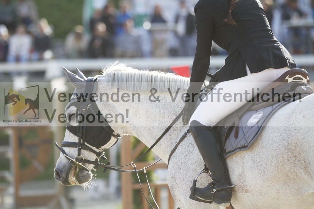 _MG_1453 | equestrian-live-com