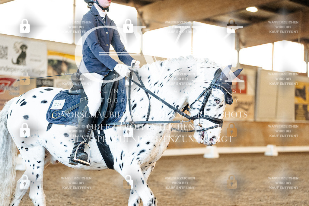CK906797 | Turnierfotografie Pferdefotografie Trier Rheinland-Pfalz Pferdesport Reitsport Tierfotografie Sportfotografie Pferdevideo Pferdevideografie Equestrianvideography equestrianphotography  - Realisiert mit Pictrs.com