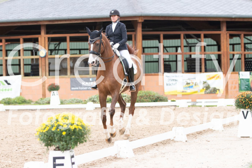 IMG_7250 | Creatify Fotografie