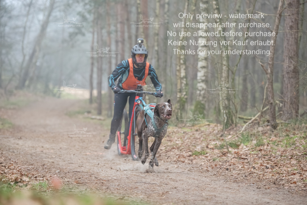 Scooter1-78 | stephaniefillaphotographie - Realisiert mit Pictrs.com