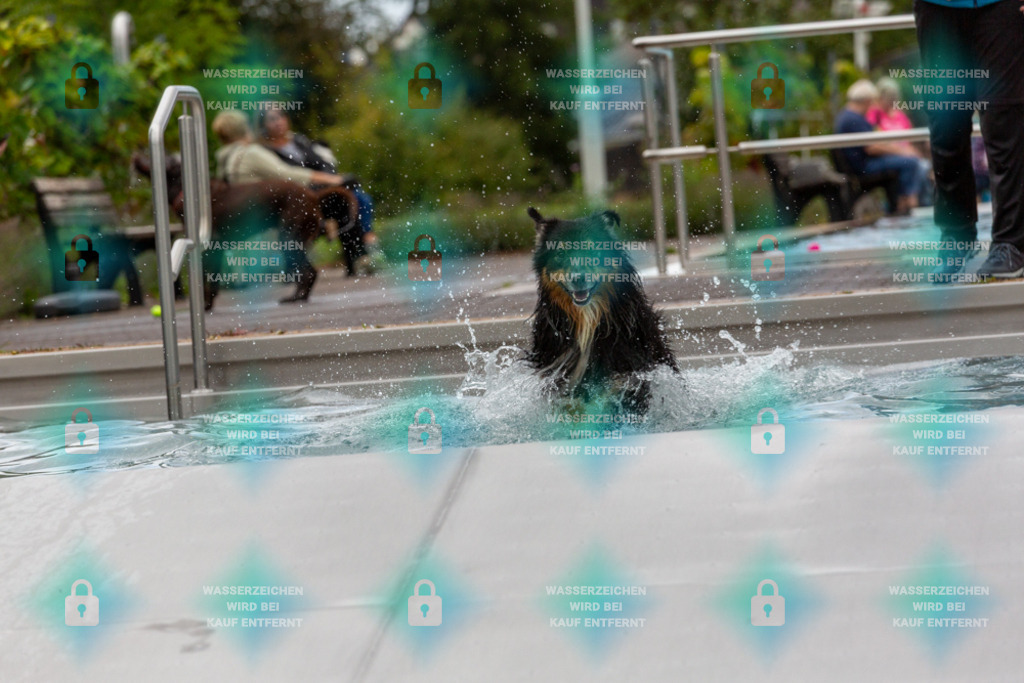 _HP_6226_1000o | HetPix, HetPix Fotodesign, Fotografie, Fotodesign, Webshop, Sportfotografie, Portraitfotografie, Onlineshop, Sportfotografie, Polch, Motorsportfotografie, Eventfotografie