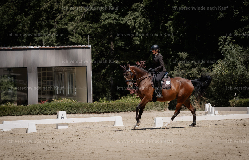 WE_DR_126_SinaFilmArt_IN03598 | working equitationturnier fotograf videograf stoibphotography marixx film working equitation deutschland reitsport turnierfotografie eventfotografie equestrian events