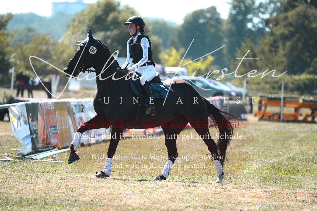 DSC_8336 | Pferde- und Turnierfotografie in Westsachsen. Pferdeportraits, Auftragszeichnungen und intuitive Kunst.