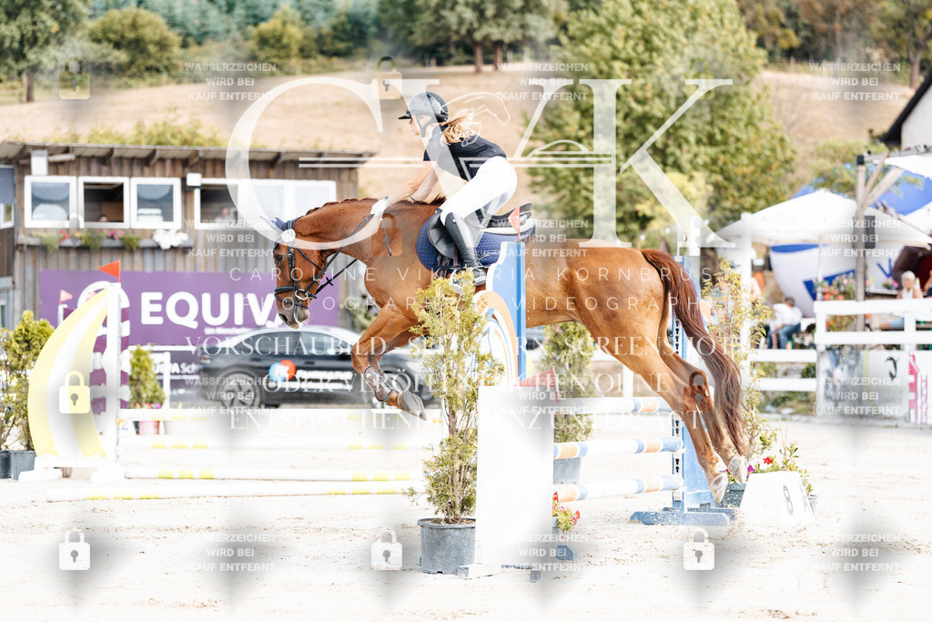 CK909000 | Turnierfotografie Pferdefotografie Trier Rheinland-Pfalz Pferdesport Reitsport Tierfotografie Sportfotografie Pferdevideo Pferdevideografie Equestrianvideography equestrianphotography  - Realisiert mit Pictrs.com