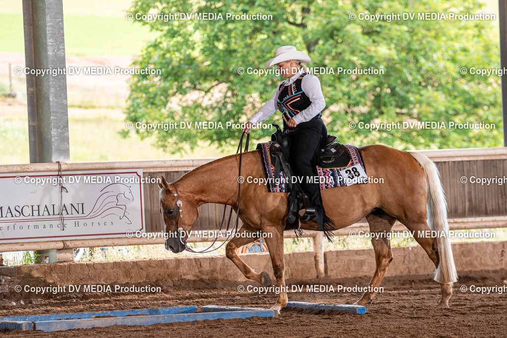 Erbach Tag 2-161 | dv-media-shop - Realisiert mit Pictrs.com