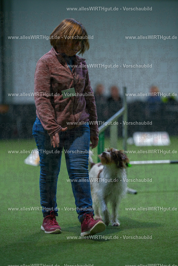 7R502241 | Professionelle Tierfotografie in Mönchengladbach von Daniel Wirth (allesWIRTHgut). Liebevolle & natürliche Bilder von Hunden & Katzen für unvergessliche Erinnerungen.