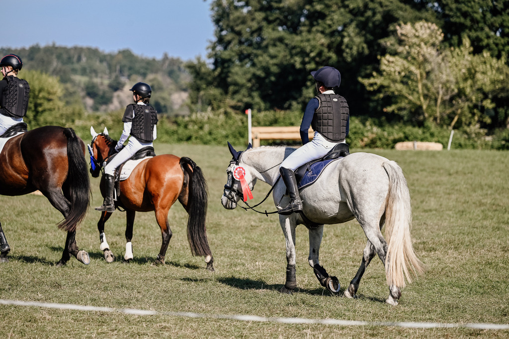 DSC_3710 | Pferde- und Turnierfotografie in Westsachsen. Pferdeportraits, Auftragszeichnungen und intuitive Kunst.