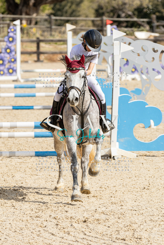 IMG_4343 | s-jay-photography - Realisiert mit Pictrs.com