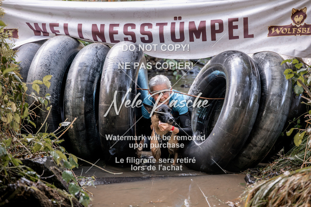 nelerasche_Hunsrück2026_Sa1400-1500_105 | nelerasche