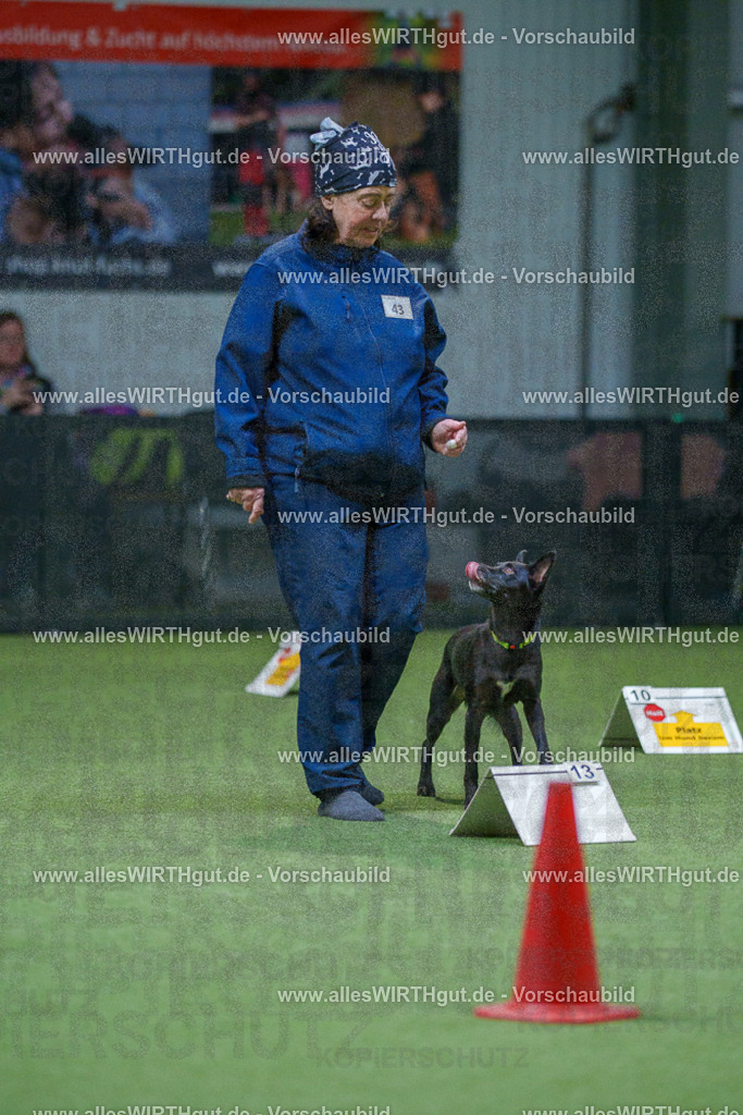 7R501228 | Professionelle Tierfotografie in Mönchengladbach von Daniel Wirth (allesWIRTHgut). Liebevolle & natürliche Bilder von Hunden & Katzen für unvergessliche Erinnerungen.