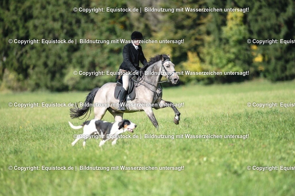 20251011_Jagd-Marbach_0236 | Foto: Thomas Hartig