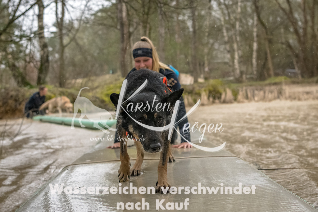 1049_ZZ93506-Bearbeitet | kk-dogfotos