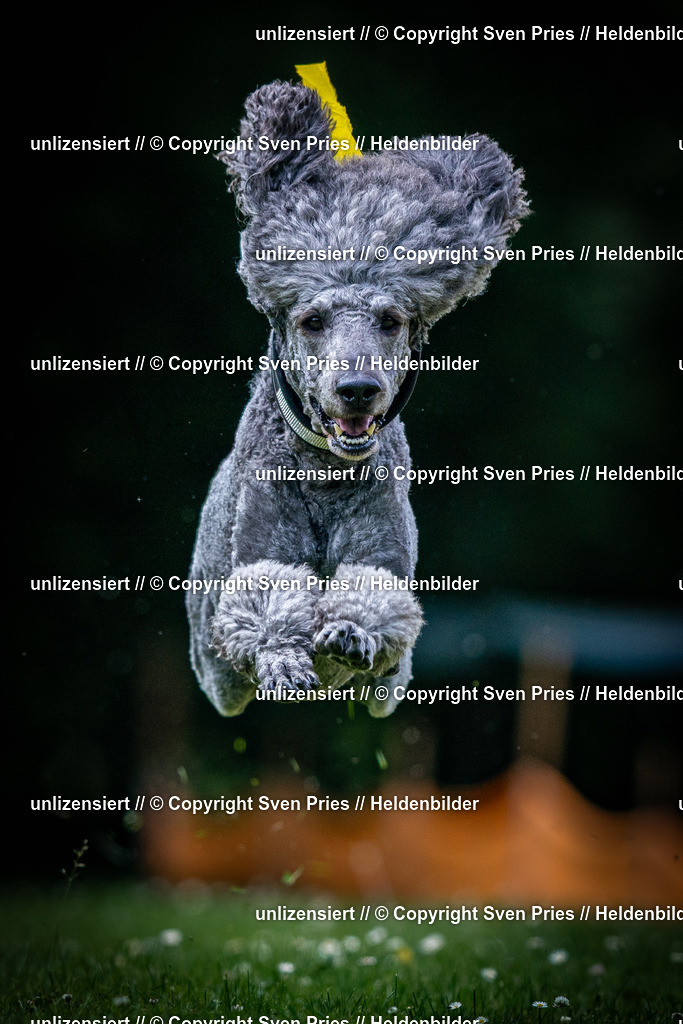 Sven Pries | 2025-05-29 - Pudelrennen KA-Durlach - Realisiert mit Pictrs.com