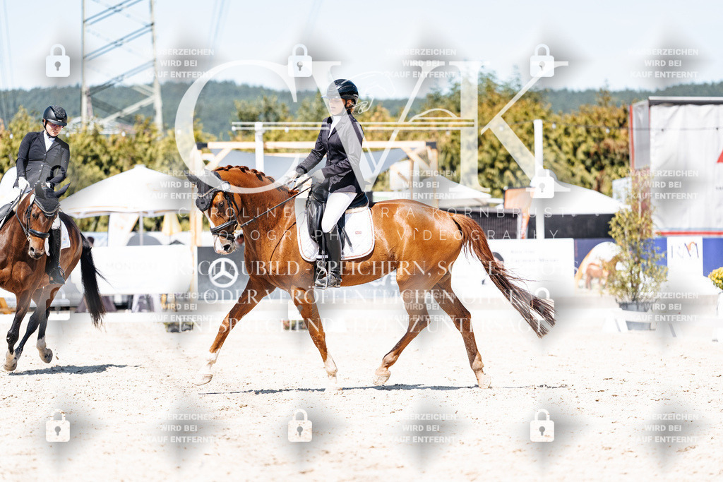CK900384 | Turnierfotografie Pferdefotografie Trier Rheinland-Pfalz Pferdesport Reitsport Tierfotografie Sportfotografie Pferdevideo Pferdevideografie Equestrianvideography equestrianphotography  - Realisiert mit Pictrs.com
