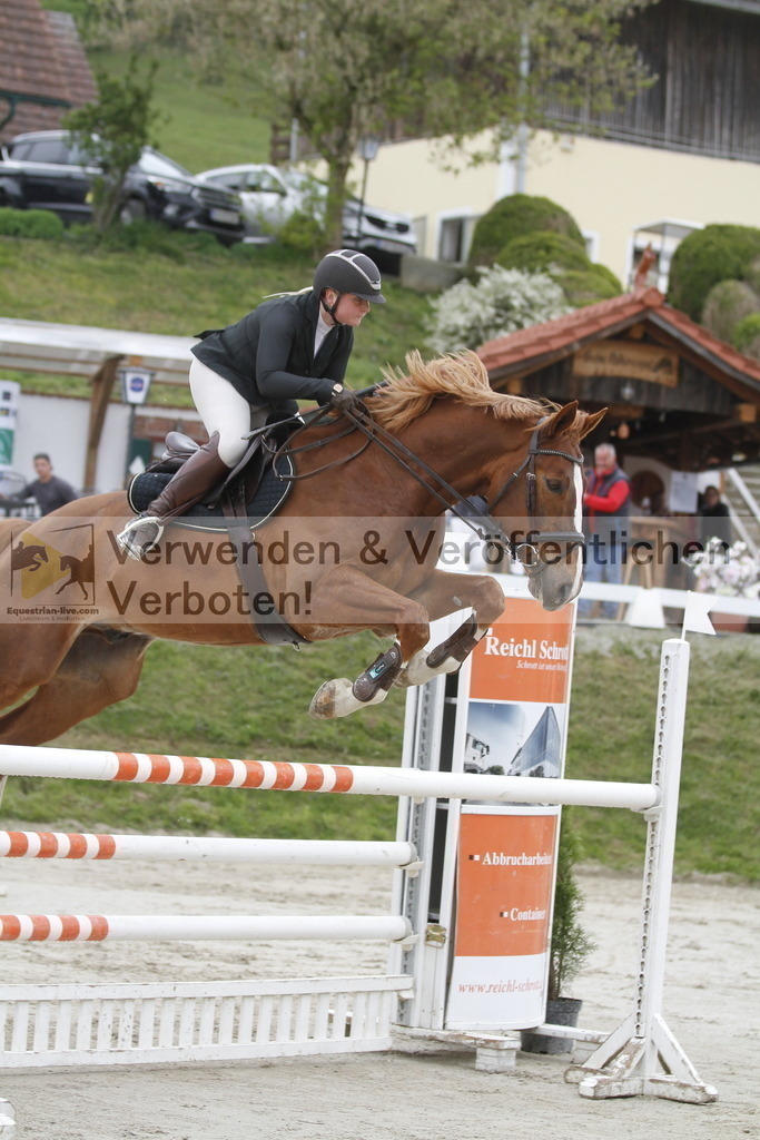 _MG_2792 | equestrian-live-com