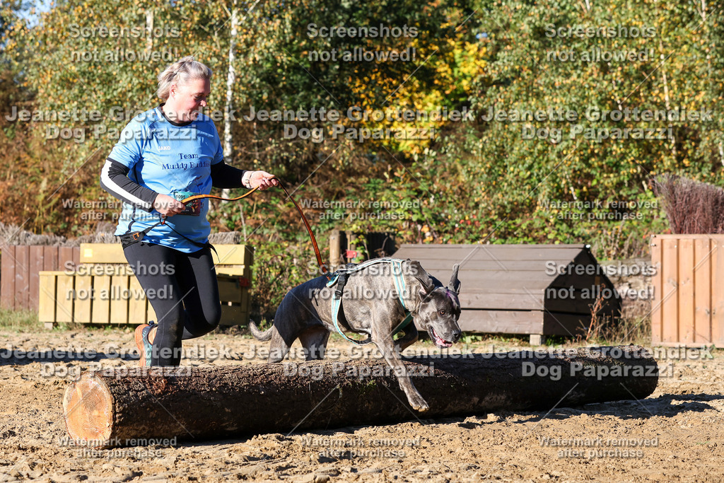 Dog Paparazzi - Strongdog 10-25-1619 | Dog Paparazzi Jeanette Grottendiek Fotografie & Videografie - Realisiert mit Pictrs.com