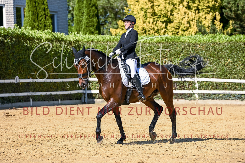 Schugtsche-Aluta25-50.Dressurpferdeprf.L-165 | Schugtsche Fotografie - Realisiert mit Pictrs.com