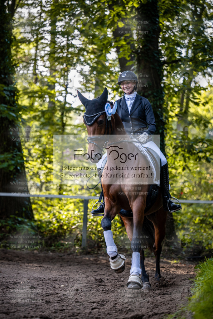 2026-10-Helle-14-0028 | Entdecke hochwertige Reitturnierfotos von Foto Oger. Professionell, emotional und authentisch – jetzt Lieblingsmomente im Shop bestellen.Deutschlandweite Turnierfotografie. - Realisiert mit Pictrs.com