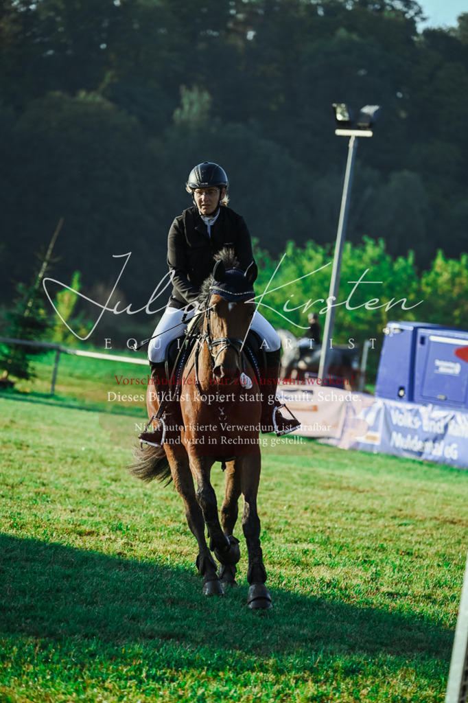 DSC_3883 | Pferde- und Turnierfotografie in Westsachsen. Pferdeportraits, Auftragszeichnungen und intuitive Kunst.