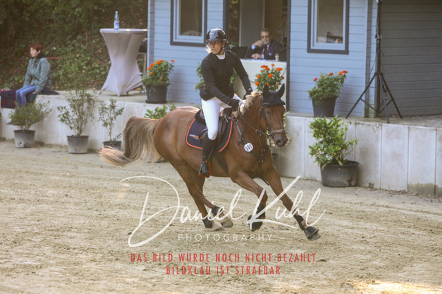 DKP42691 | Turniersportfotografie; Pferdefotografie; Dressurfotografie