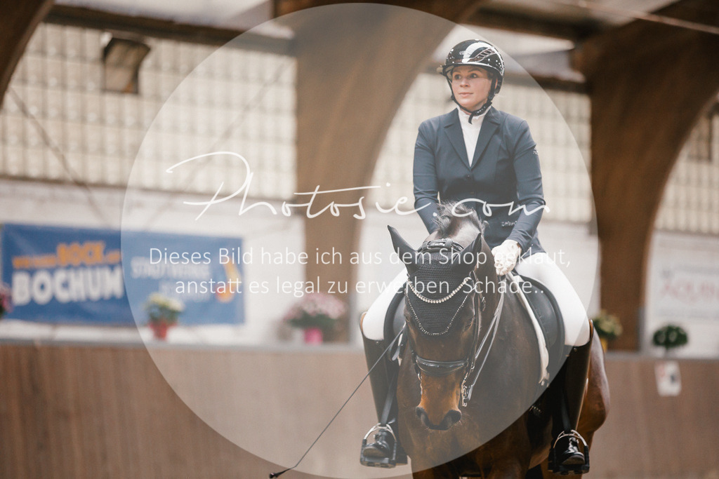 3I6A8322 | Stimmungsvolle Portraits und Reitsportfotografie im Ruhrgebiet und im Münsterland.

Pferdefotografie, Hundefotografie, Tierfotografie, Reportagen, Portraits von Tier und Mensch, Turnierfotografie in Bochum, Recklinghausen, Marl, Haltern am See, Dülmen.. - Realisiert mit Pictrs.com