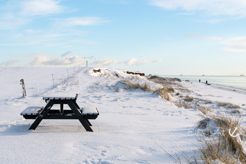 20260104-EAF_8441 | Eilun-Art-Fotografie Levke Martens, ihre Fotografin für Immobilien- und Landschaftsfotografie auf Föhr, Föhrer Motive als Poster, Leinwand, hinter Acrylglas oder stelle dir deinen eigenen Monatskalender zusammen, mit nur einem Klick