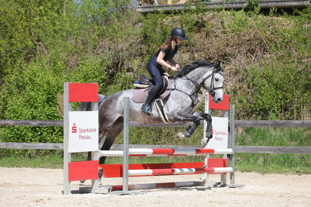 0P6A8878 | Willkommen bei Brunnmayr - Design & Fotografie – Ihrem Spezialisten für Reitturniere und Pferdeveranstaltungen in Oberösterreich, Salzburg und Bayern! Seit über 17 Jahren sind wir leidenschaftlich dabei.