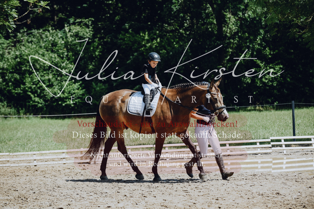DSC_2596 | Pferde- und Turnierfotografie in Westsachsen. Pferdeportraits, Auftragszeichnungen und intuitive Kunst.