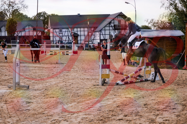 2026_10_03_Siefer-Hof_145939_Z81_42076284 | Professionelle Reitsport-, Turnier- und Eventfotografie von Robert Broda. Galerien mit ausgewählten und bearbeiteten Bildern direkt online ansehen und bestellen.