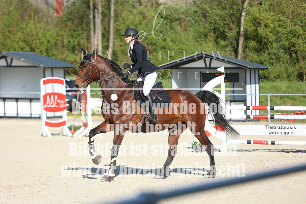 IMGM2653 | pl-fotografie