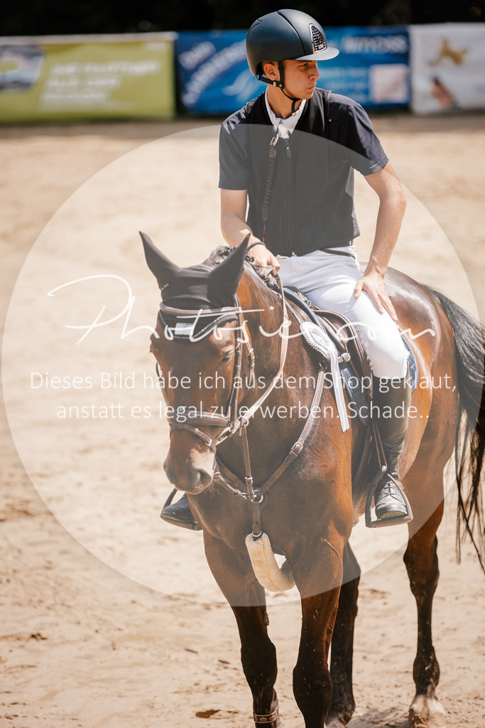 3I6A8146 | Stimmungsvolle Portraits und Reitsportfotografie im Ruhrgebiet und im Münsterland.

Pferdefotografie, Hundefotografie, Tierfotografie, Reportagen, Portraits von Tier und Mensch, Turnierfotografie in Bochum, Recklinghausen, Marl, Haltern am See, Dülmen.. - Realisiert mit Pictrs.com
