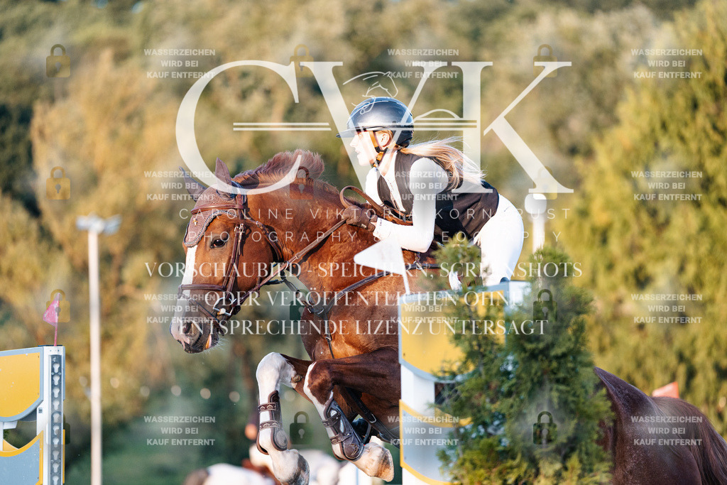CK901149 | Turnierfotografie Pferdefotografie Trier Rheinland-Pfalz Pferdesport Reitsport Tierfotografie Sportfotografie Pferdevideo Pferdevideografie Equestrianvideography equestrianphotography  - Realisiert mit Pictrs.com
