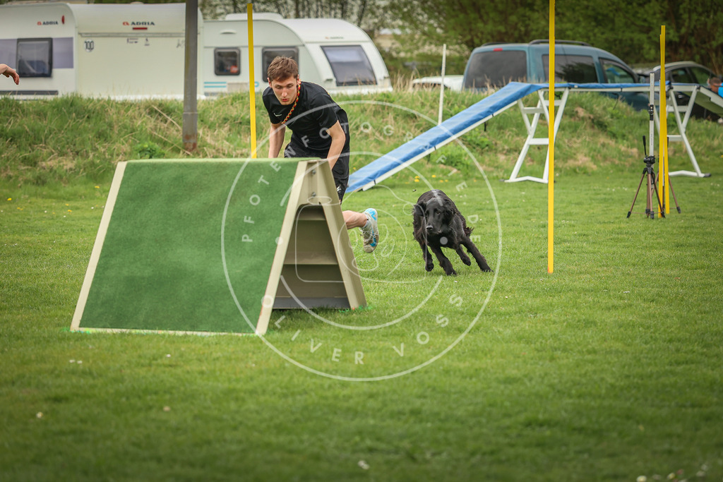 Pfotenfotografie_0L8A0457 | Hundefotografie, Tierfotograf, Pfotenfotografie, Fotoshooting Hund, Hunde Portrait, Hundesport, Hundeportraits, Heideshooting, Hunde, Sportfotograf, Hundefotograf, Turnierhundsport, THS,  - Realisiert mit Pictrs.com