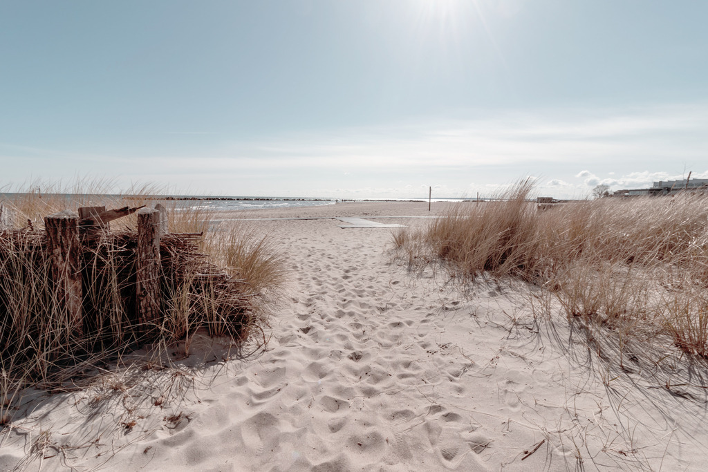 Wandbild: Weg an den Strand | Dieses Wandbild im Querformat zeigt einen Weg an den Sandstrand. Am Wegesrand wächst Strandhafer in einem schönen Beigeton. Der Strand bringt einen schönen Sandton mit ein. Am schönen blauen Himmel kann man gut einzelne Sonnenstrahlen erkennen. Ein traumhaftes Wandbild, das den Urlaub für das ganze Jahr nach Hause bringt. Kaufen Sie sich jetzt Strandfeeling auf Leinwand, Aluminium-Platte oder Acrylglas. Ideal fürs Wohnzimmer, Schlafzimmer, Küche, den Arbeitsplatz oder die Ferienwohnung. Die Wandbilder werden individuell für Sie in vielen Abmessungen produziert. Daher passen die Ostseekult Wandbilder immer perfekt an Ihre Wände. - Realisiert mit Pictrs.com