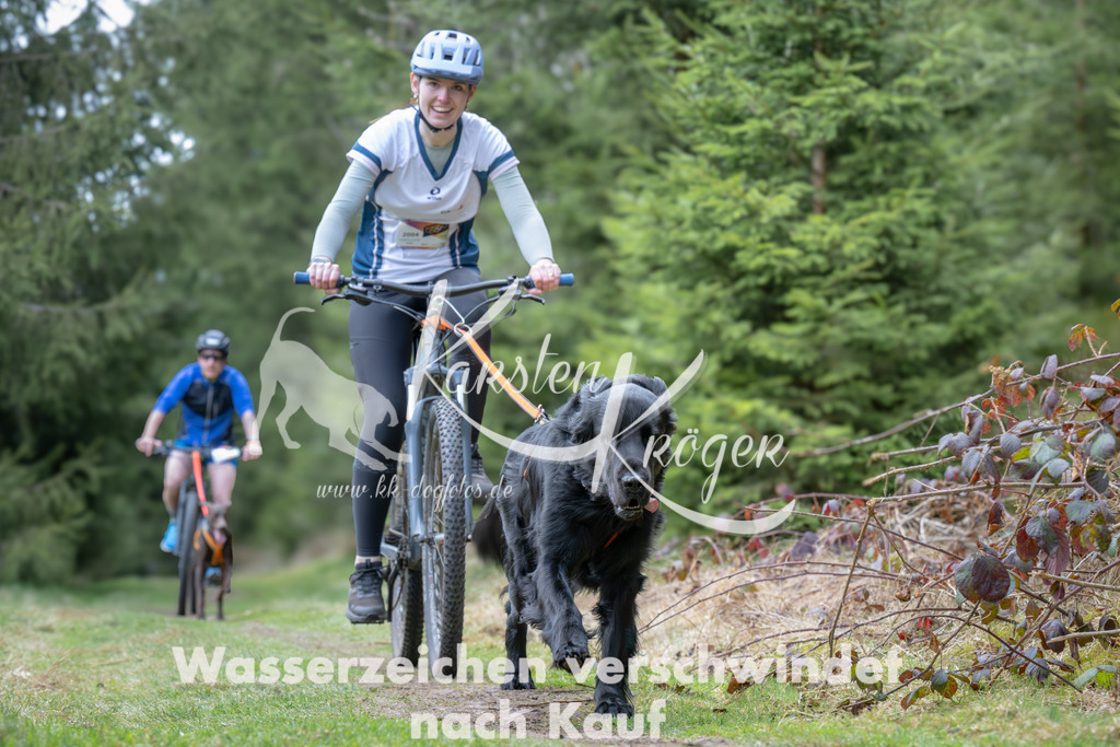 1312_ZZ94006 | kk-dogfotos